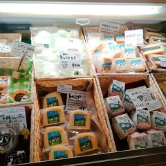 十勝千年の森キサラ チーズショップ 売店