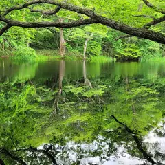 平伏沼