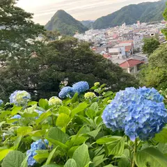 下田あじさい園