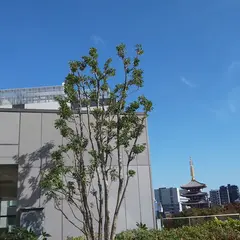 東京楽天地浅草ビル
