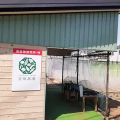 吉田農場 農産物直売所
