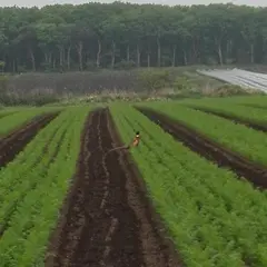 HDCレンタカー