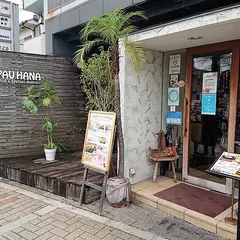 PAUHANA 八尾店