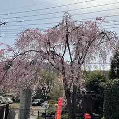 龍神降臨の霊場・教善寺