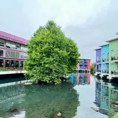 水岸森林