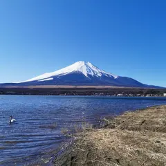 山中湖