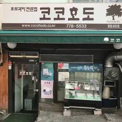 ココホド 明洞聖堂店