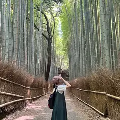 嵯峨野 竹林の道