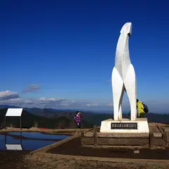 陣馬山