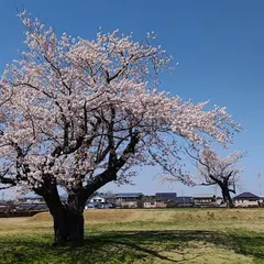 常陸国分尼寺跡