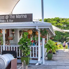 Choo Choos at the Marina