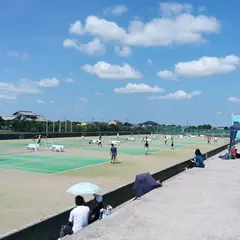 アポロコーストテニスクラブ