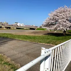 大豆田大橋