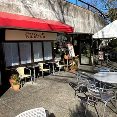 福岡市植物園展望台カフェ