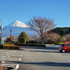 中央公園 東地区