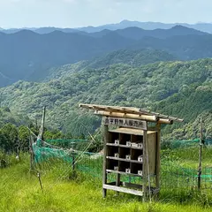 みなみ野フィールズ不動坂