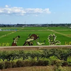 田んぼアート 八郎潟会場