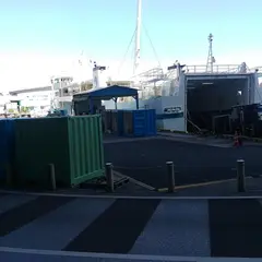 泊
