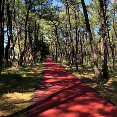 阿波岐原森林公園