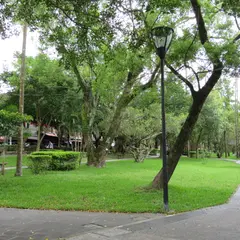 Zhongzheng Park