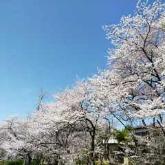 大高緑地第6駐車場