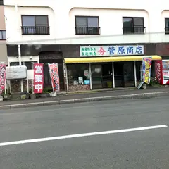 菅原商店