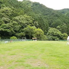 ドッグラン＆カフェ GOLDEN DOG FARm