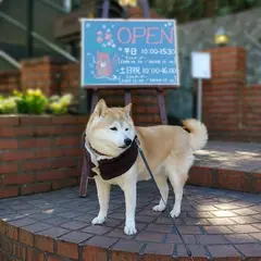 Cafe terrace樹ガーデン エントランス