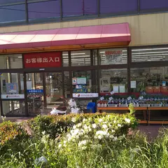ダイソー 横浜戸塚原宿店