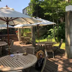 岩手県 盛岡市 ぴょんぴょん舎~盛岡冷麺