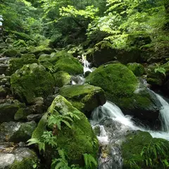 奥多摩