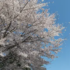 立志神社摂社 八幡大神・恵比寿大神