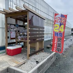 おりがみ農園 ミニトマト直売所