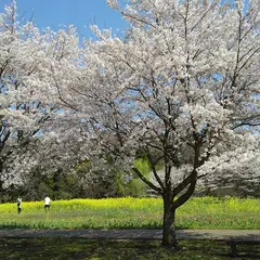 道の駅うつのみや ろまんちっく村 にぎわい広場