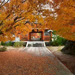 子安観音寺 本坊山の観音
