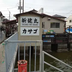 新健丸