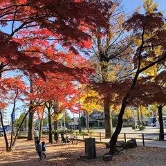 22年 北仙台駅周辺のおすすめ公園ランキングtop3 Holiday ホリデー