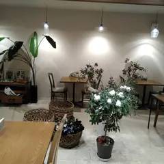 Ｃafe木蓮