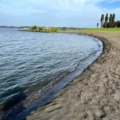 ほほえみの浜