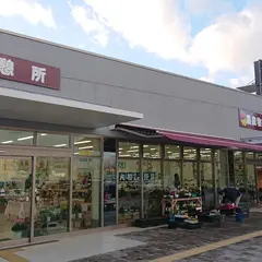 新沢千塚ふれあいの里