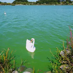 千波湖