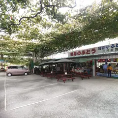 川井遊覧農園