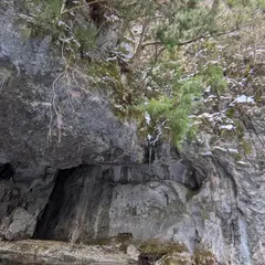 蝙蝠の岩屋