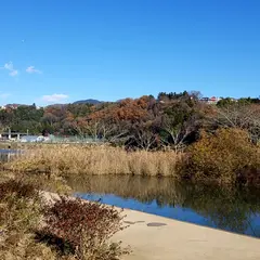 桂川河川公園