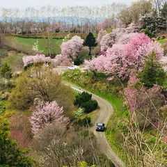 北見フラワーパラダイス