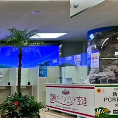 宮崎県・木下グループ新型コロナPCR検査センター 宮崎空港店