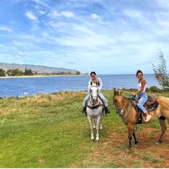 North Shore Stables