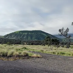 Pu'u Wa'awa'a Forest Reserve