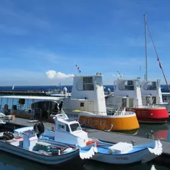 Discoverlamay探索拉美