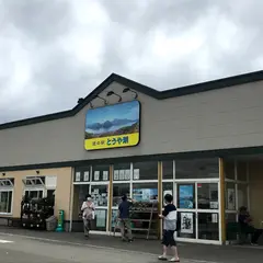 道の駅とうや湖 展望台